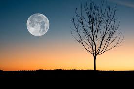 Pleine lune crépuscule