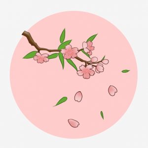 pngtree-falling-pink-cherry-blossom