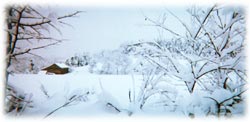 la Demeure under the snow!