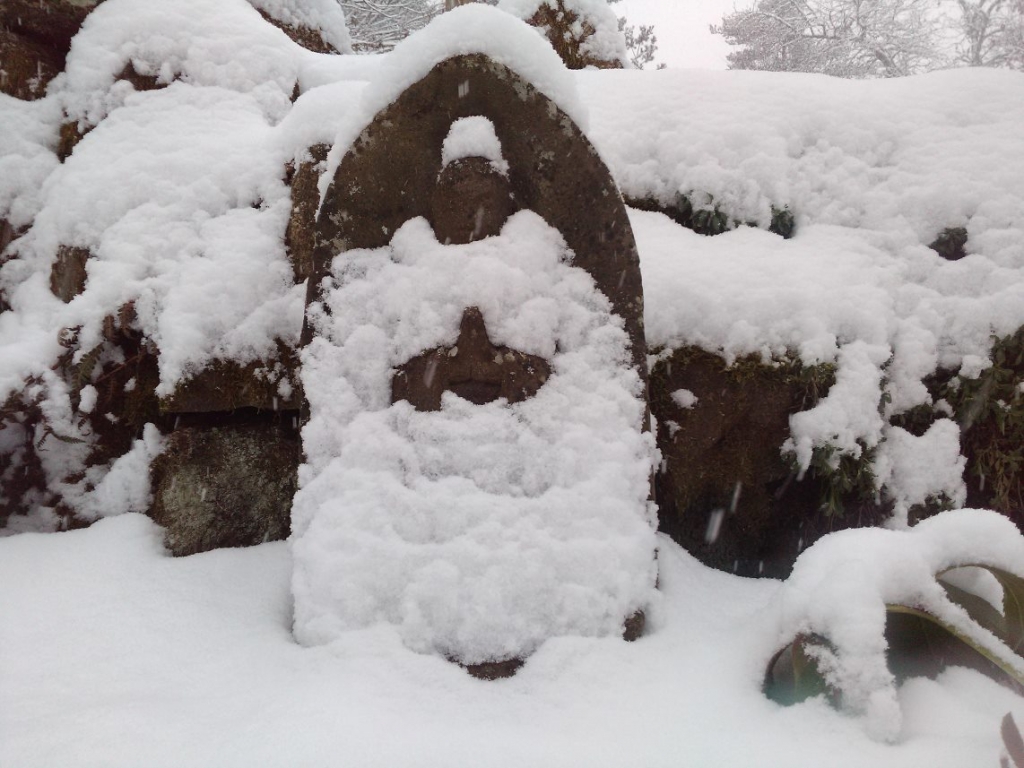 “La neige de ce matin
Les poireaux sont des repères
dans le jardin”